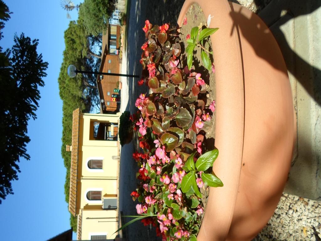 Agriturismo Toscanella Montebello Exterior foto